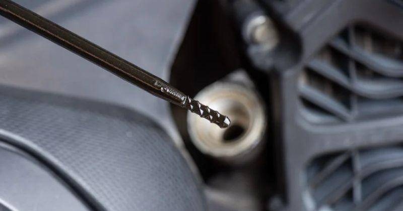 Suzuki.com